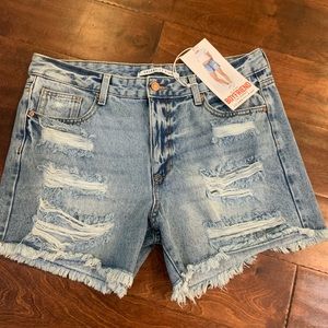 Celebrity Pink Shorts